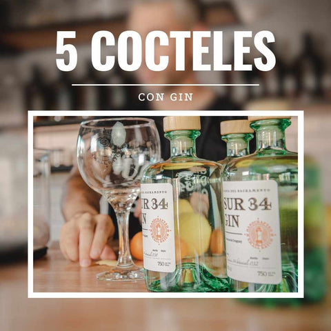 5 Cocktails with Gin