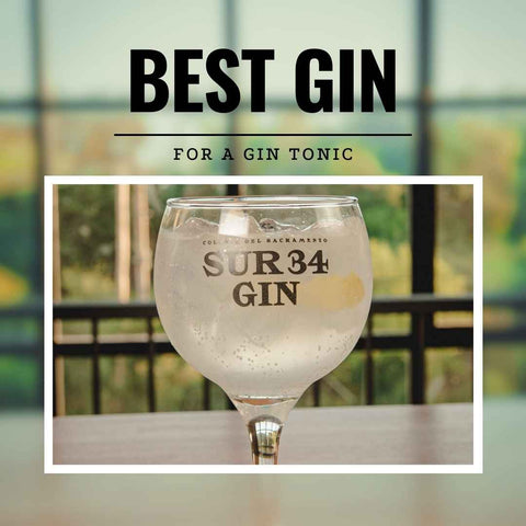 Best Gin for Gin & Tonic – Natural Aromas and Botanicals