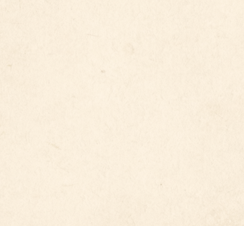 custom image section