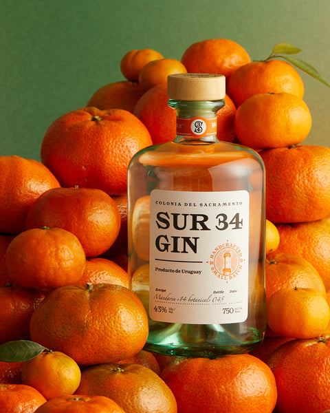botella de gin sur 34
